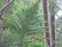 Albums/20060200-New Zealand 2006/20060318-Kaikiura/60